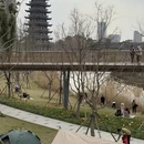 上海旅游 缩略图 9