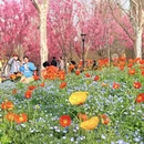 上海旅游 缩略图 6