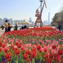 上海旅游 缩略图 2