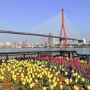 上海旅游 缩略图 1