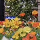 上海旅游 缩略图 7