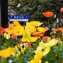上海旅游 缩略图 3