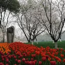 杭州旅游 缩略图 3