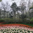 杭州旅游 缩略图 4