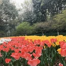 杭州旅游 缩略图 5