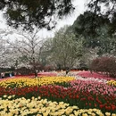 杭州旅游 缩略图 10