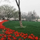 杭州旅游 缩略图 7