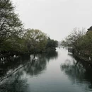 杭州旅游 缩略图 14