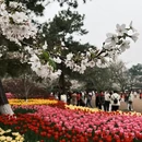 杭州旅游 缩略图 9