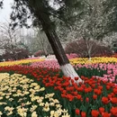杭州旅游 缩略图 11