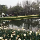 杭州旅游 缩略图 12