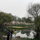 杭州旅游 缩略图 17