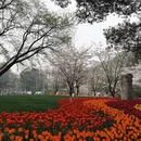 杭州旅游 缩略图 18