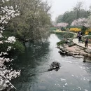 杭州旅游 缩略图 16