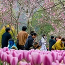 杭州旅游 缩略图 2