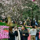 杭州旅游 缩略图 6