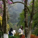 杭州旅游 缩略图 5