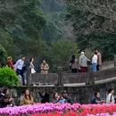 杭州旅游 缩略图 3