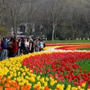 杭州旅游 缩略图 4