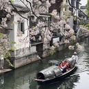 绍兴旅游 缩略图 10