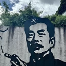 绍兴旅游 缩略图 7