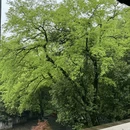 绍兴旅游 缩略图 8