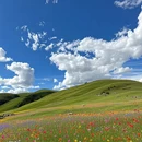 甘孜旅游 缩略图 8