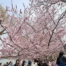 北京旅游 缩略图 2
