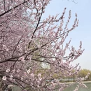 北京旅游 缩略图 12