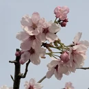北京旅游 缩略图 16
