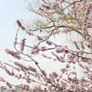 北京旅游 缩略图 4