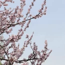 北京旅游 缩略图 11