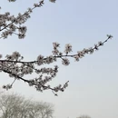 北京旅游 缩略图 8