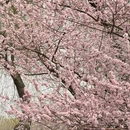 北京旅游 缩略图 6