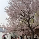 北京旅游 缩略图 14