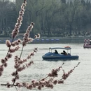 北京旅游 缩略图 15