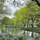 杭州旅游 缩略图 2
