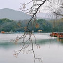 杭州旅游 缩略图 5
