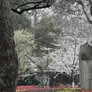 杭州旅游 缩略图 4