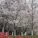 杭州旅游 缩略图 2
