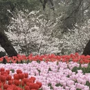 杭州旅游 缩略图 5