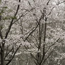 杭州旅游 缩略图 10