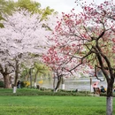 杭州旅游 缩略图 10