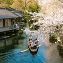 杭州旅游 缩略图 3