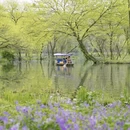 杭州旅游 缩略图 16