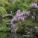 杭州旅游 缩略图 14