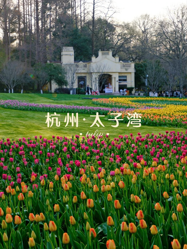 杭州旅游