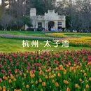 杭州旅游 缩略图 1