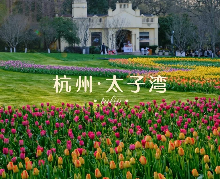 杭州旅游 1