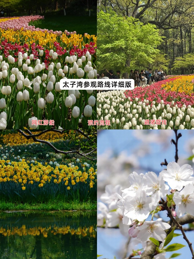 杭州旅游